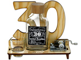 Značka na výročí 30 let s flašinetem SK