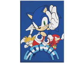 Modrá dětská deka Ježek Sonic