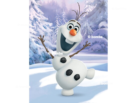 Dětská deka Frozen II Olaf
