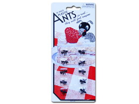 Mravenci 10 kusů
