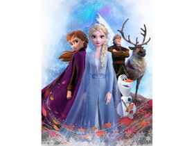 Dětská deka Frozen II Storm