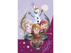 Dětská deka Frozen II Family