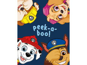 Dětská deka Paw Patrol II