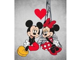 Dětská deka Mickey a Minnie Mouse