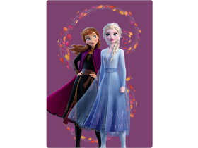 Dětská deka Frozen II Anna a Elsa