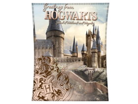 Dětská deka Harry Potter Hogwarts