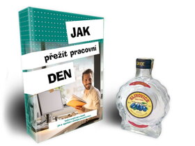 Léčivá kniha Jak přežít pracovní den