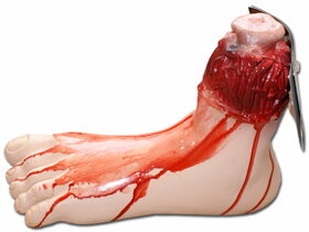 Odtržená krvavá noha