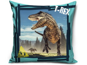 Dětský polštář Dinosauři II