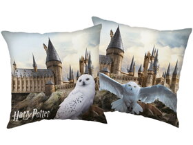 Dekorační polštář Harry Potter - Hedvika