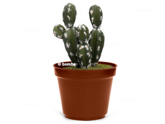 Trezor ve tvaru kaktusu