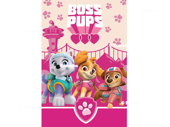 Dětská deka Paw Patrol Boss Pups