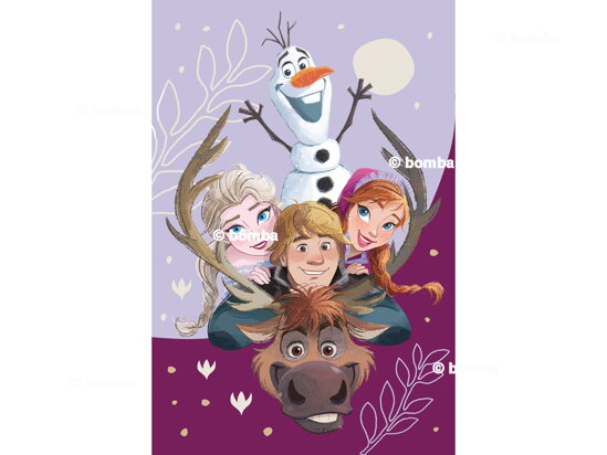 Dětská deka Frozen II Family