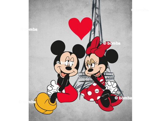Dětská deka Mickey a Minnie Mouse