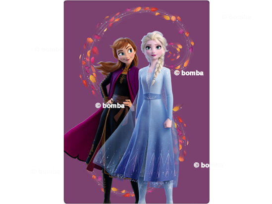 Dětská deka Frozen II Anna a Elsa