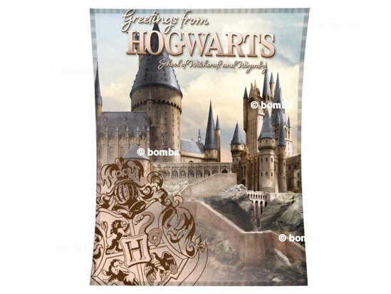 Dětská deka Harry Potter Hogwarts