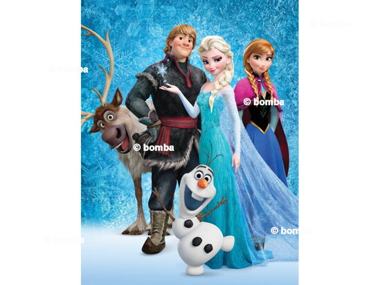 Dětská deka Frozen II Ice