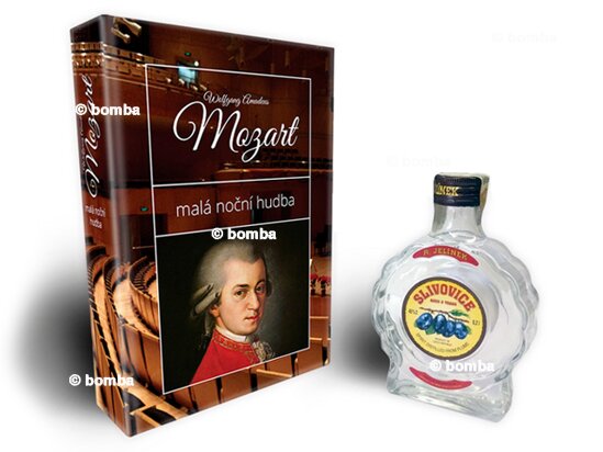 Léčivá kniha Mozart - Malá noční hudba