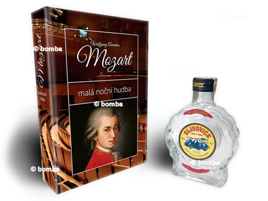 Léčivá kniha Mozart - Malá noční hudba