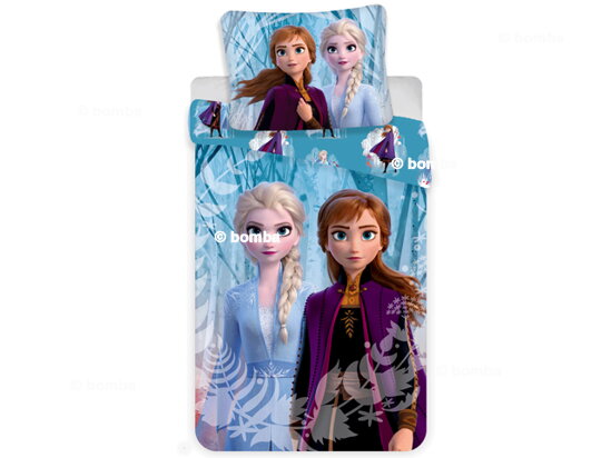 Povlečení Frozen II - Anna a Elsa