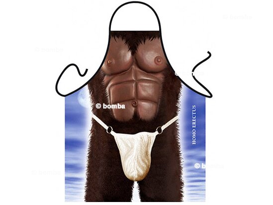 Zástěra Homo erectus