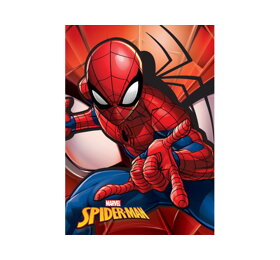 Dětská deka Spiderman